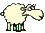 :כבשה: